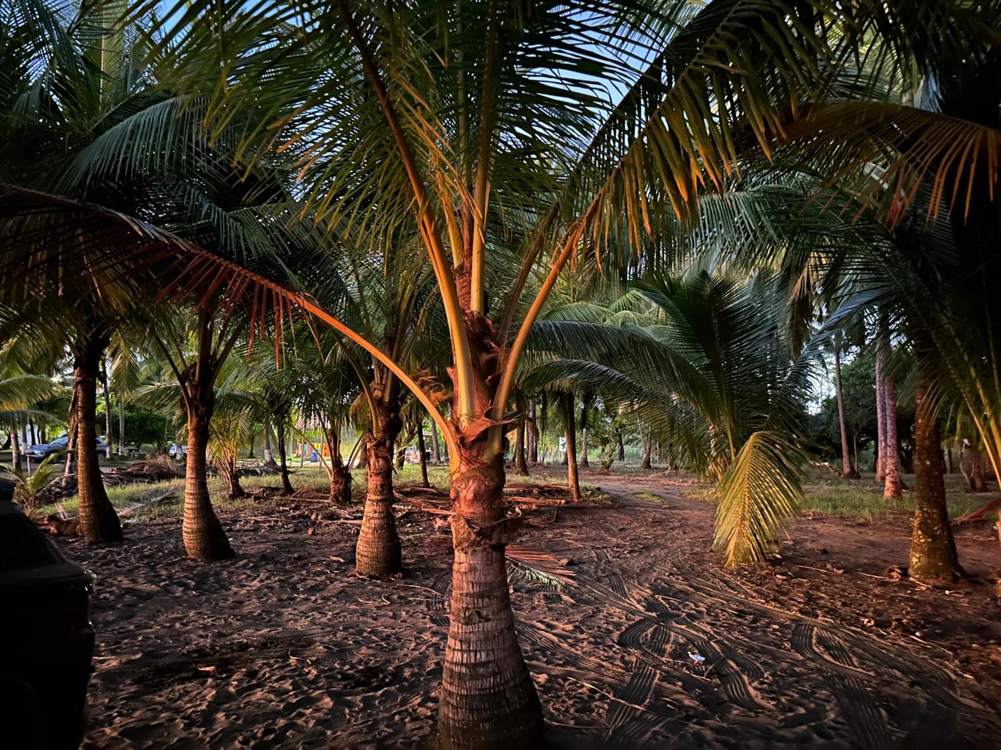 Casa Paraiso Tropical Parrita Kültér fotó